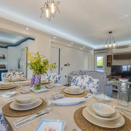 Vila Villa Senay *