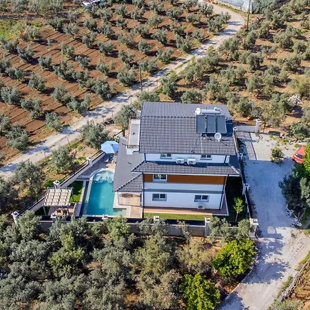 Vila Villa Senay *