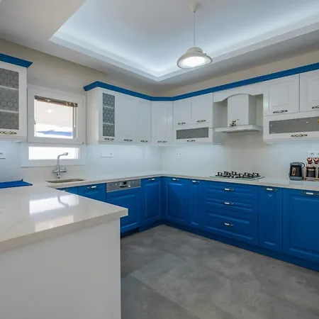 Villa Senay וילה פאטהיה